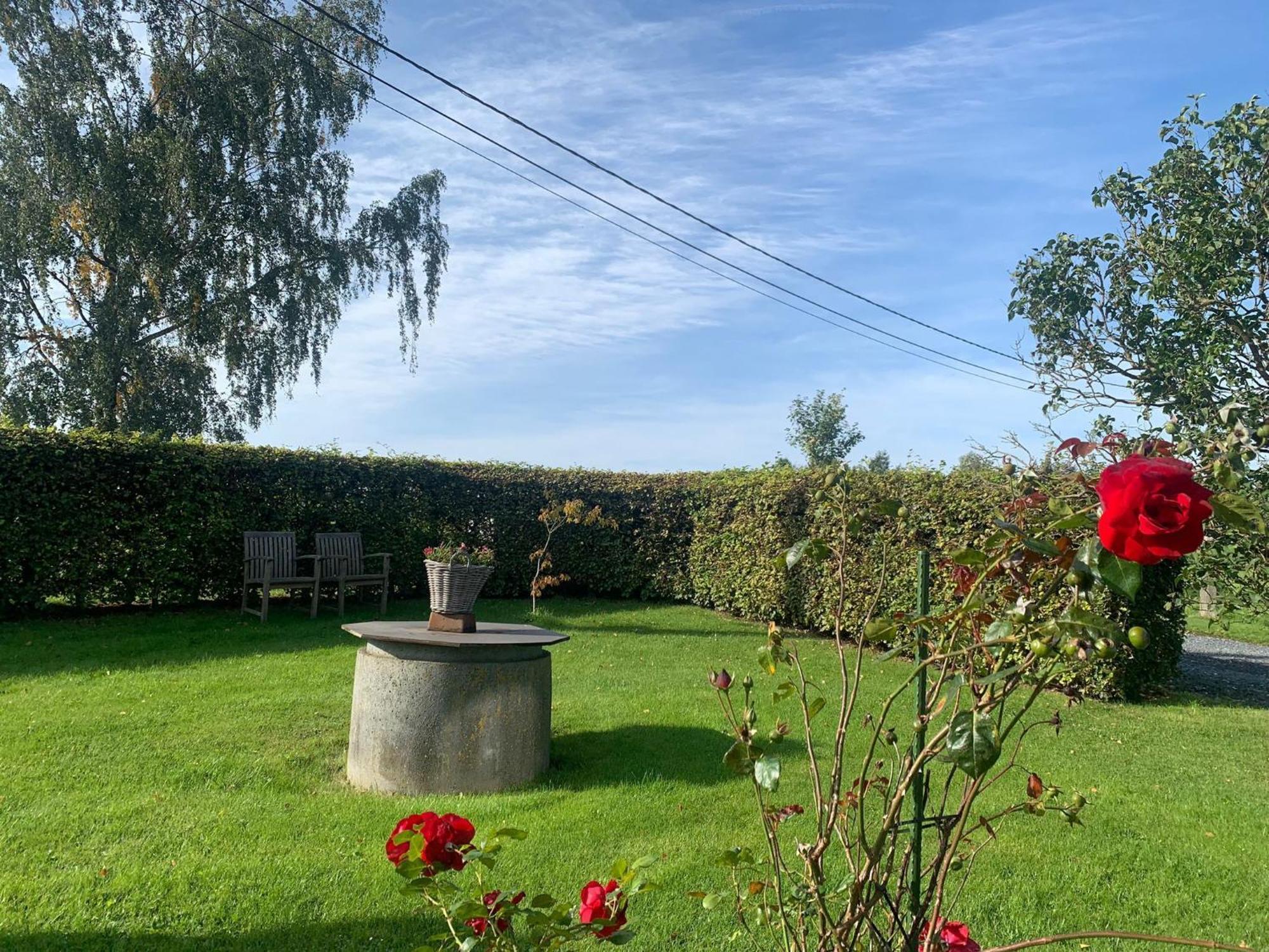 Pretty Farmhouse In Houffalize With Courtyard Esterno foto