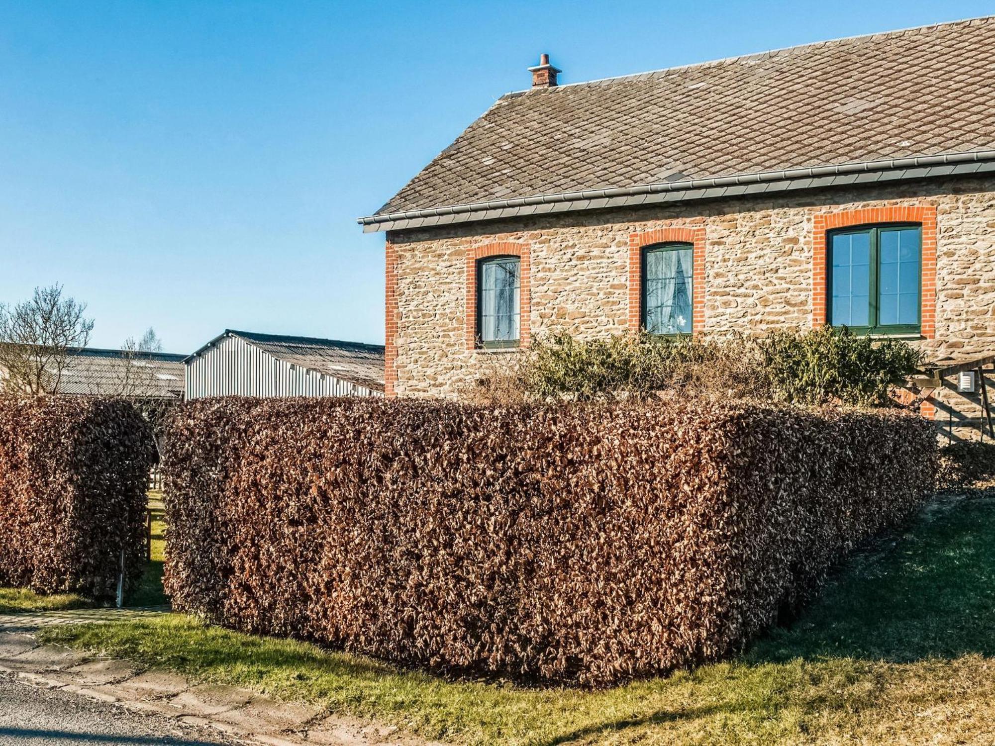Pretty Farmhouse In Houffalize With Courtyard Esterno foto